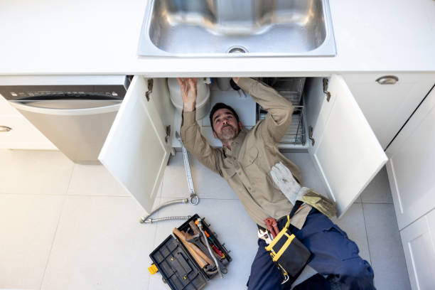 Best Residential Plumbing Services  in Indian Shores, FL