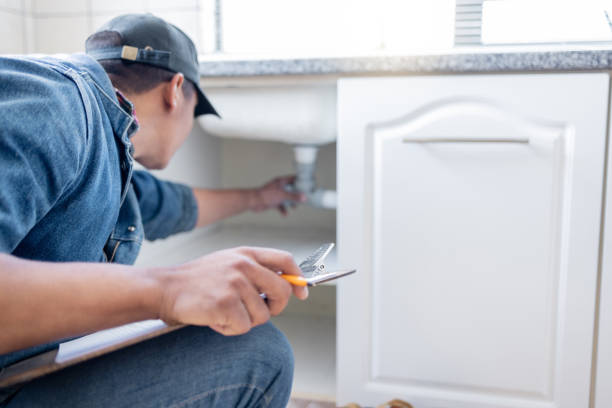 Best Sprinkler Systems  in Indian Shores, FL